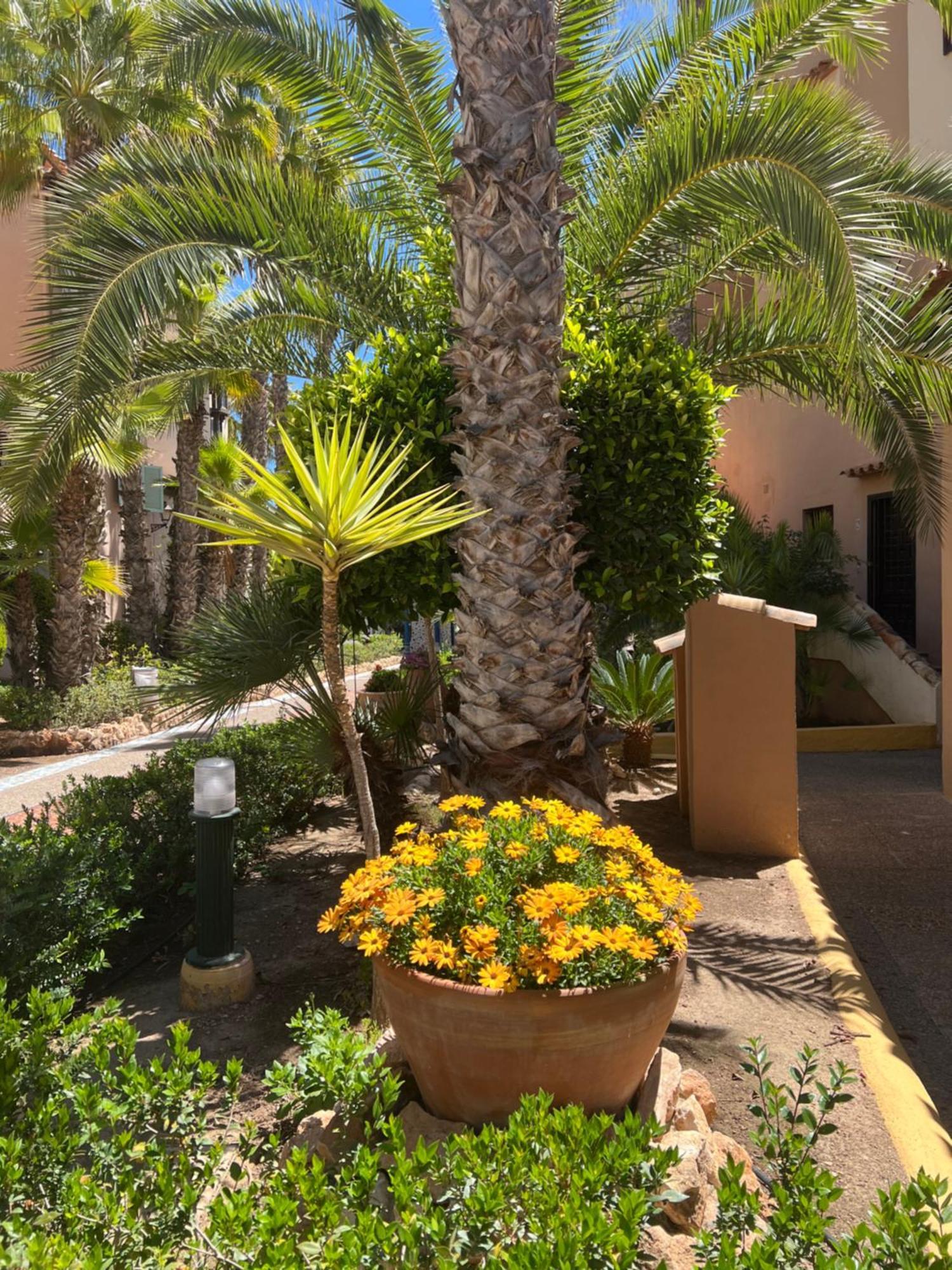 דירות טורבייחה Casa Al Mare Aldea מראה חיצוני תמונה